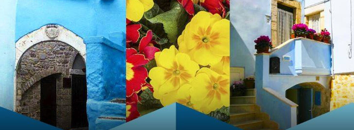 Immagine: balcone-fiorito-casamassima779