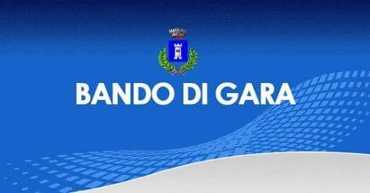 Immagine: bando di gara 2 