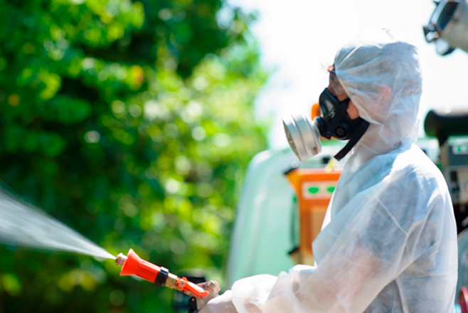 Immagine: disinfestazione491