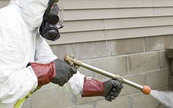 Immagine: Disinfezione476