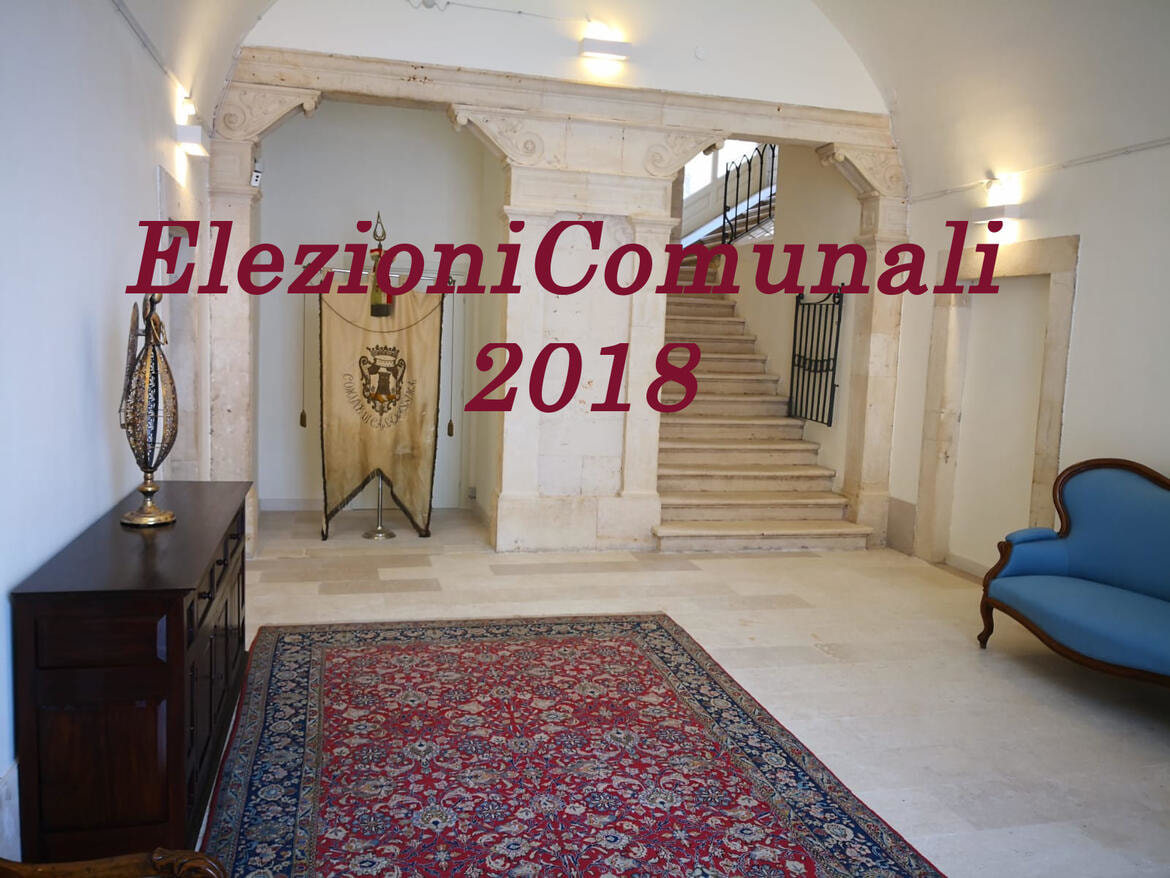 Immagine: INGRESSO878