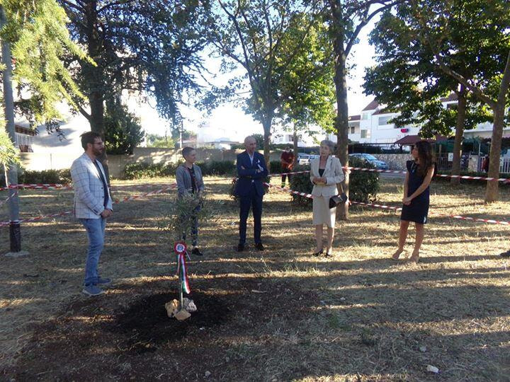 Immagine: La_messa_a_dimora_dellAlbero_della_Legalita464