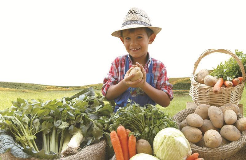 Immagine: Mercato_verdure1302