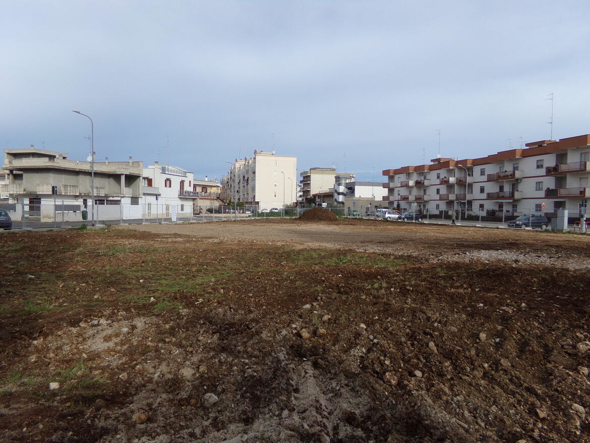 Immagine: Parco_via_Sammichele389