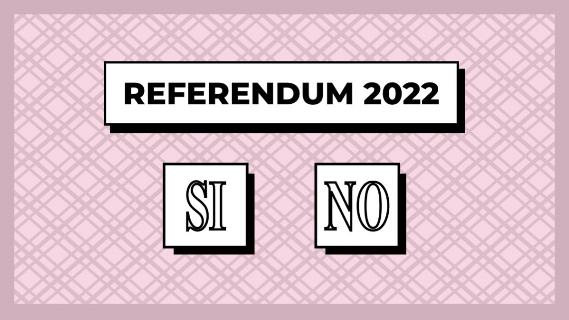 Immagine: referendum22204