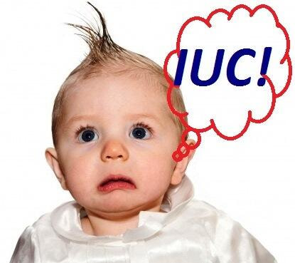 Immagine: Singhiozzo-IUC1283