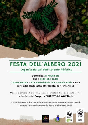 Immagine: Locandina_Festa_dellalbero_2021_1_page-0001258