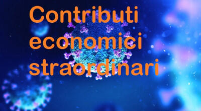 Immagine: Contributi_economici403