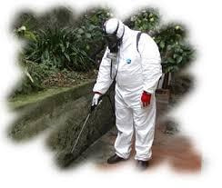 Immagine: disinf1303