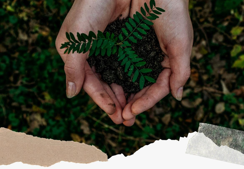 Immagine: Festa_dellalbero257