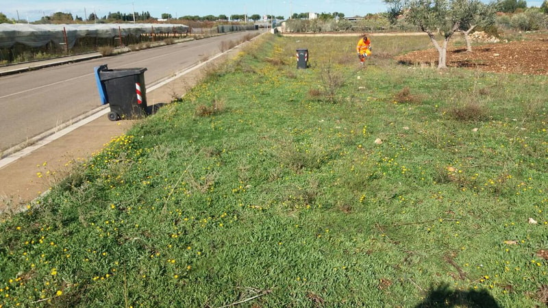 Immagine: IMG-20171109-WA0013905