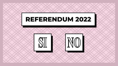 Immagine: Referendum_4176