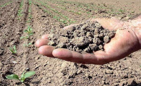 Immagine: Siccita117