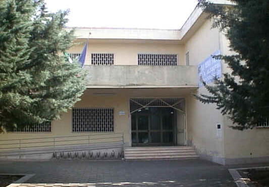 Immagine: Succursale771