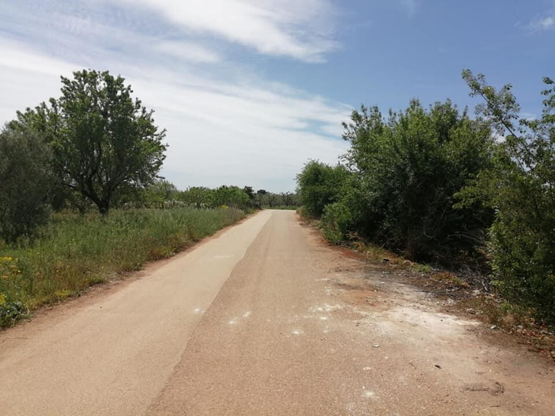 Immagine: Una_strada_rurale_gia_adottata_1329